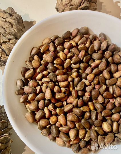 Кедровый орех