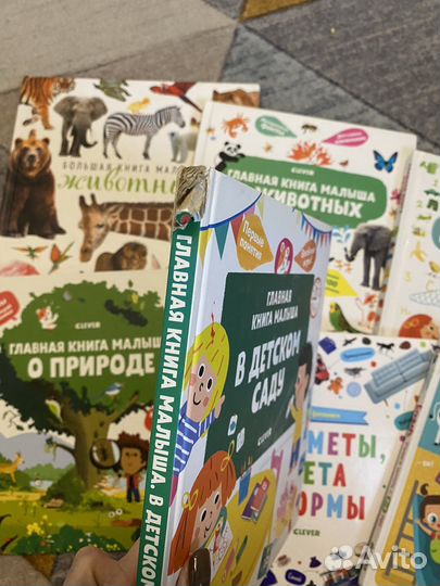 Книги Clever