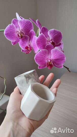 Горшочки из гипса и Вазы из гипса