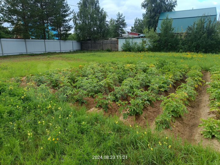 Участок 13,9 сот. (СНТ, ДНП)