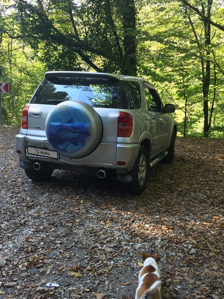 Toyota RAV4: фото владельца