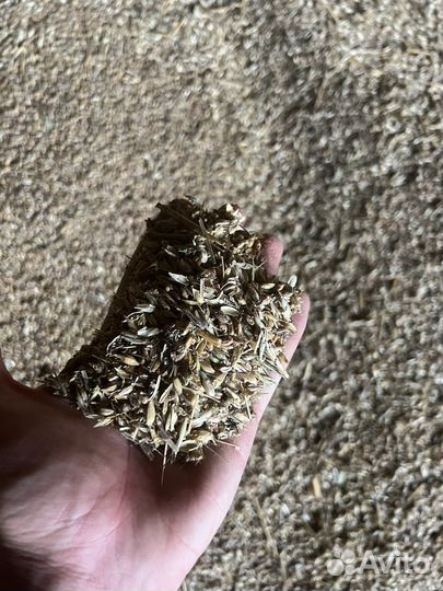 Зерноотходы ячмень/пшеница