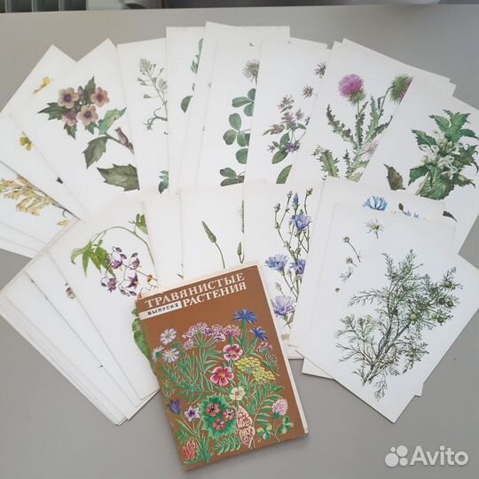Наборы открыток Лекарственные растения