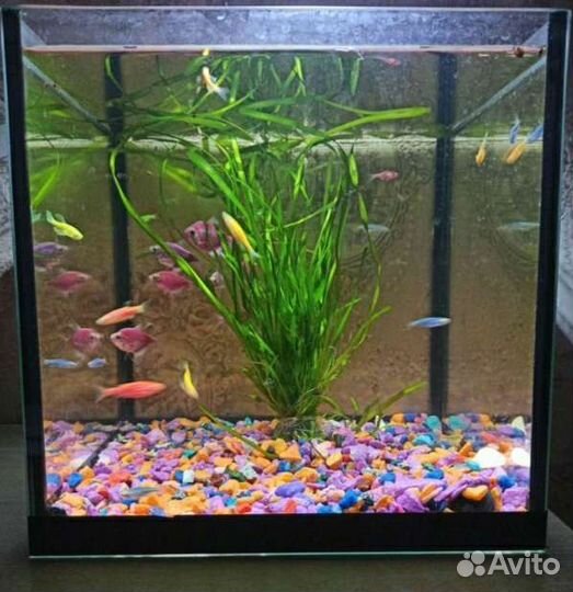 Аквариум 10л
