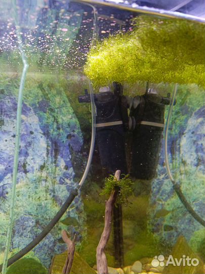 Аквариум Биодизайн Риф 125 с тумбой