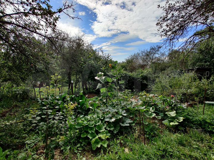 Участок 4,8 сот. (СНТ, ДНП)