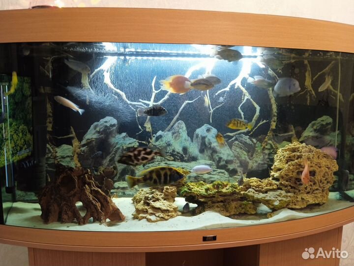 Камни для аквариума, песчаник