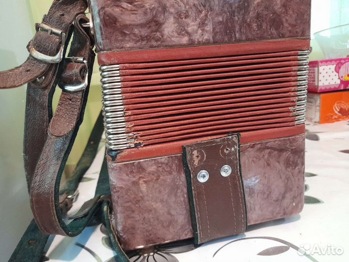 Баян,Ростов-Дон