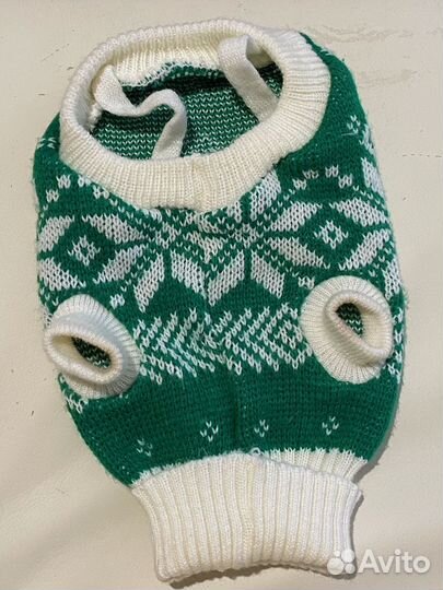 Одежда для кота