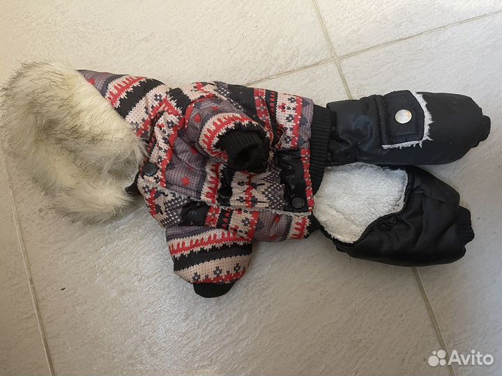 Комбинезон для собаки