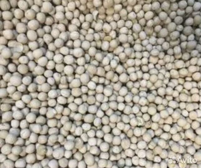 Горох кормовой