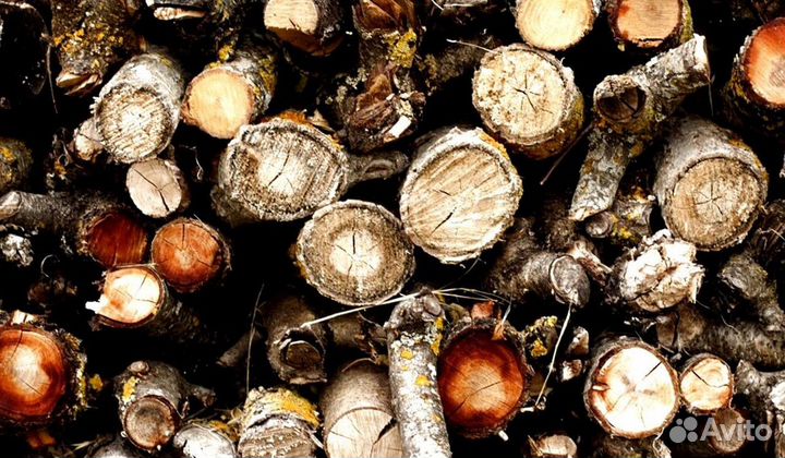 Заказ дров