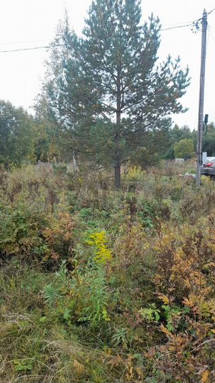Участок 9 сот. (СНТ, ДНП)