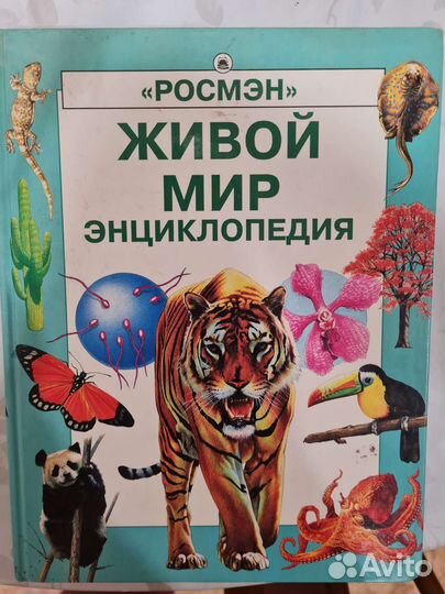 Книги для школьников