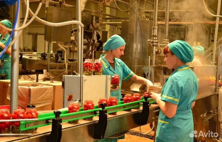 Оператор линии Вахта с 3х разов питанием