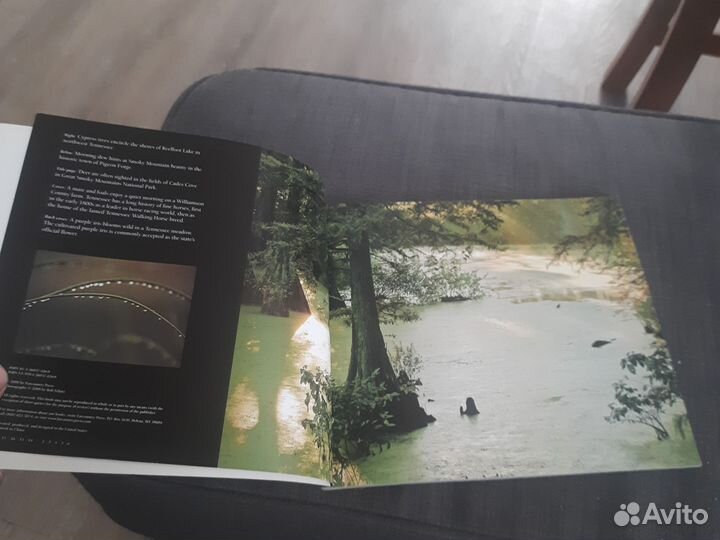 Альбомтенеси