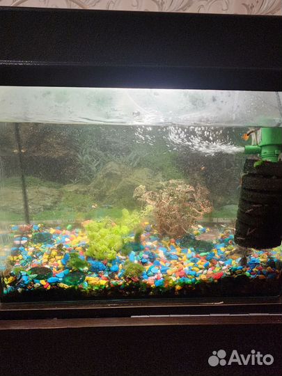Аквариум с рыбками