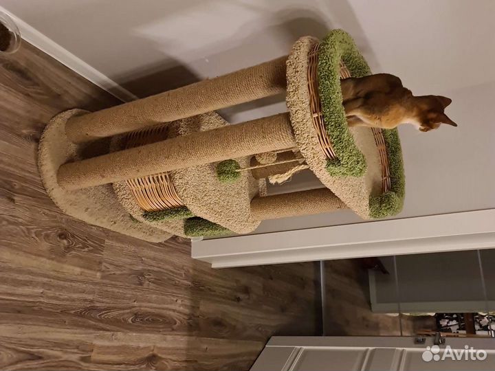 Домик для кошки