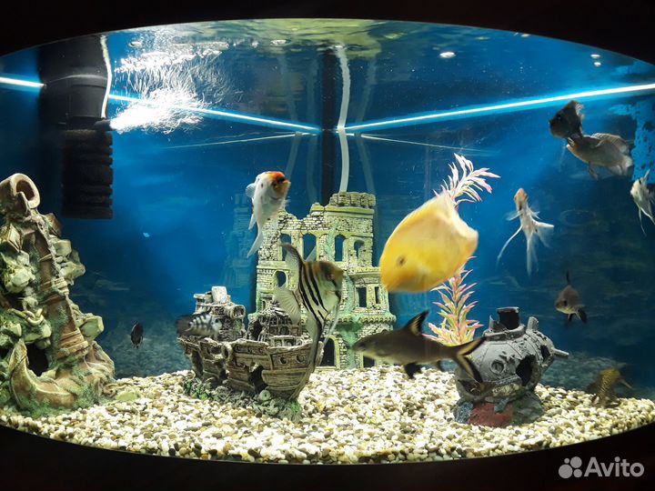 Аквариум с тумбой