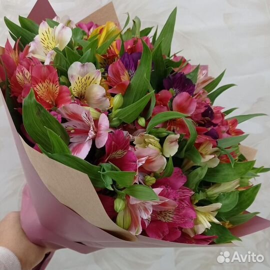 Альстрамерия