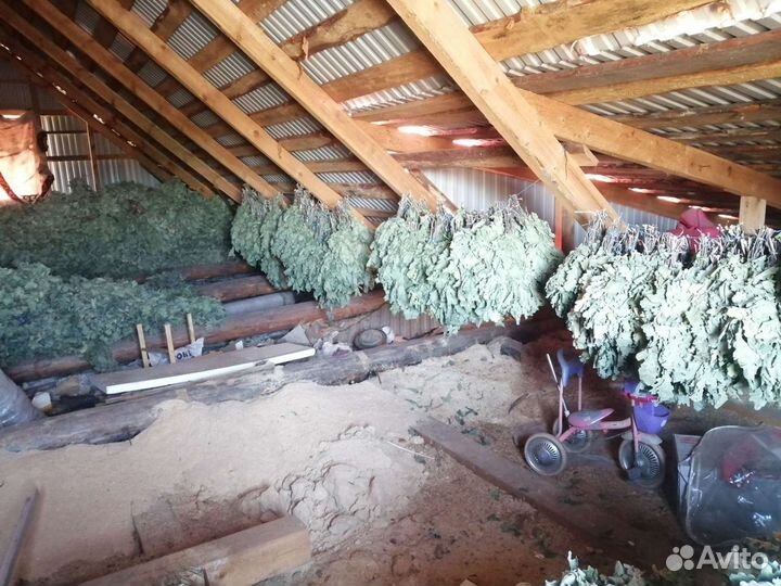 Веник дубовый