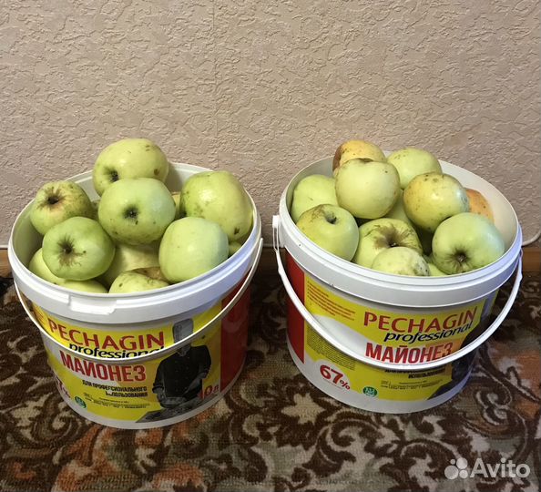 Яблоки антоновка