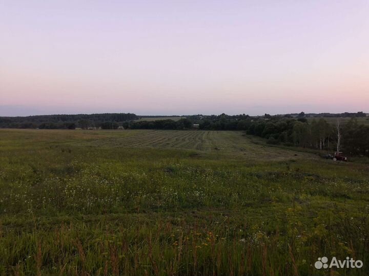 Сено в тюках