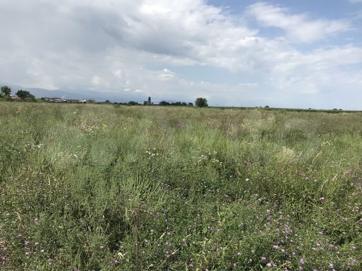 Участок 7,8 сот. (ИЖС)