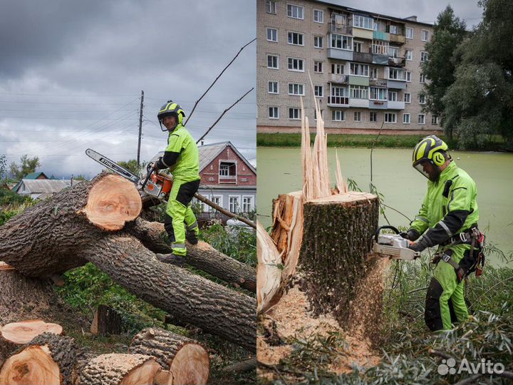 Спил и удаление деревьев. Обрезка веток