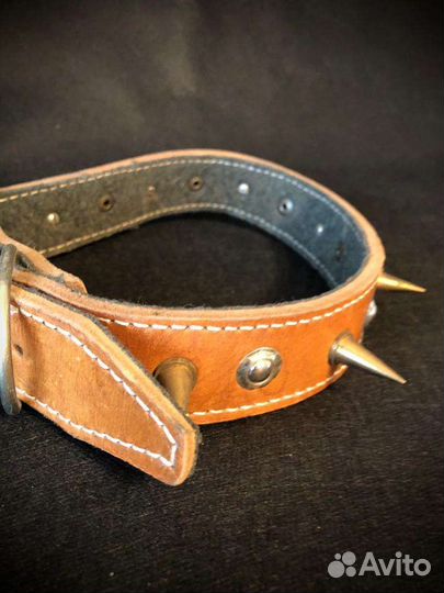 Строгий ошейник, намордник крупным собакам