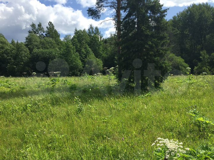 Участок 1,2 га (ИЖС)