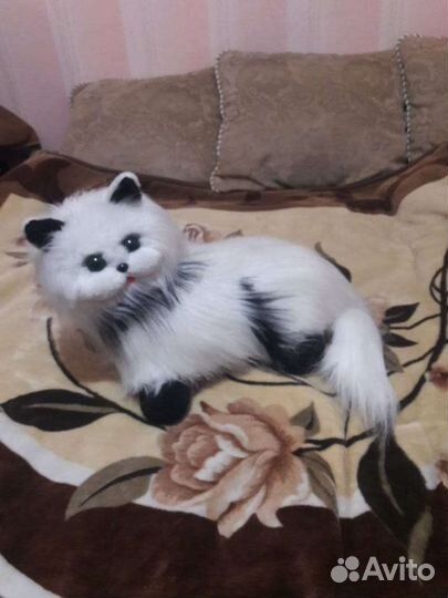 Кошка