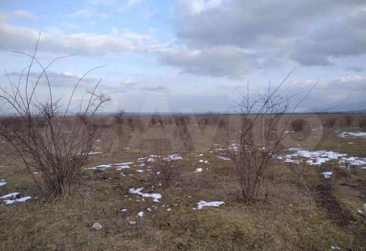 Участок 42 сот. (ИЖС)