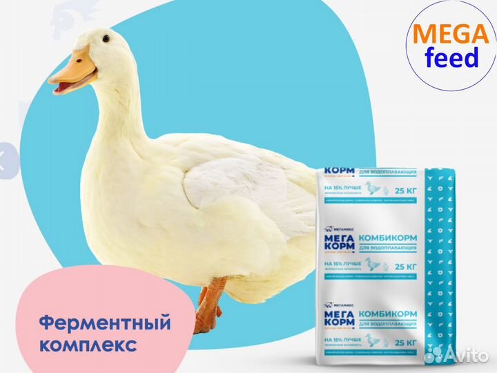 Комбикорм для с/х животных птиц