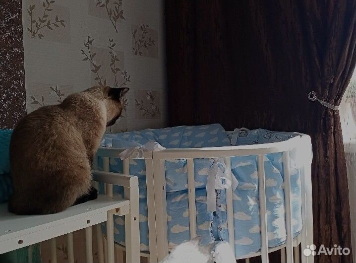 Детская кроватка трансформер круглая/овальная