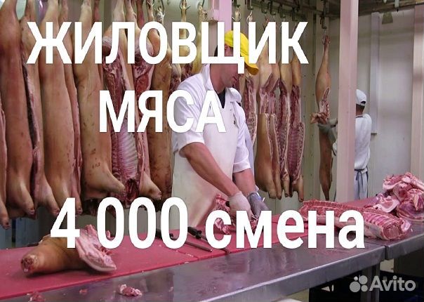 Жиловщик мяса Вахта Брянская область