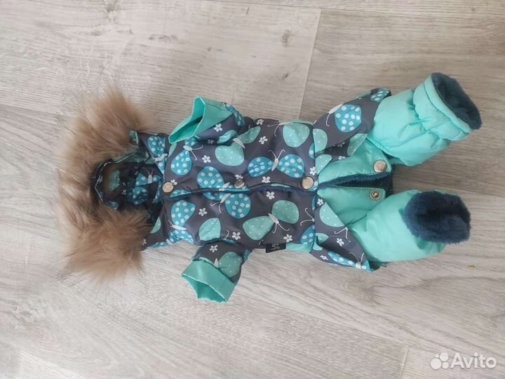 Зимний комбинезон для маленьких собак