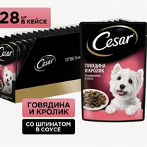 Корм для собак cesar