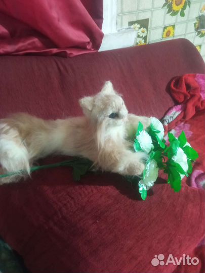 Мягкая игрушка новая