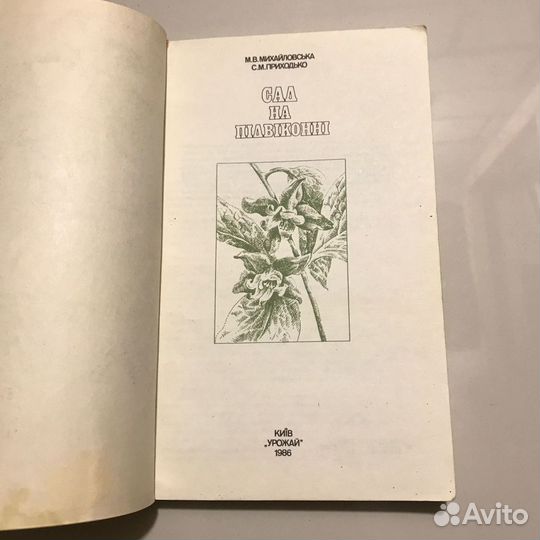 Сад на пiдвiконнi