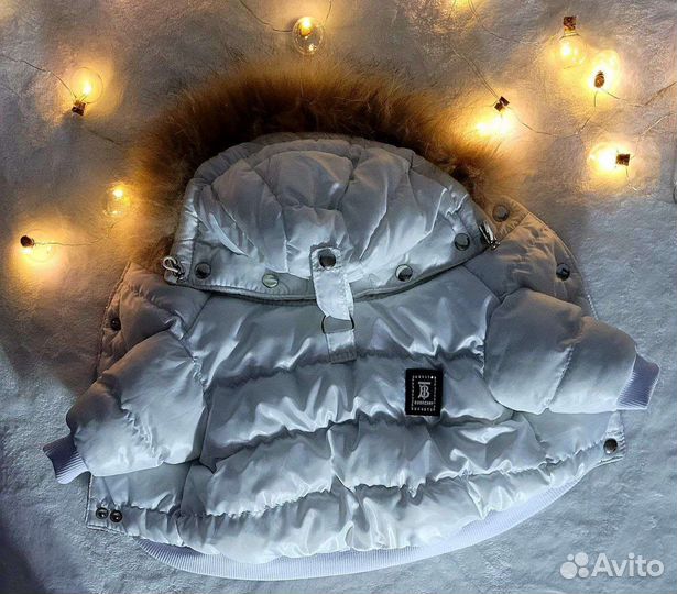 Одежда для собак