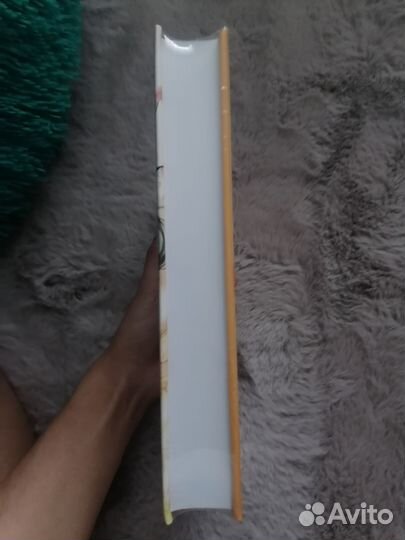 Благословение небожителей 2 том