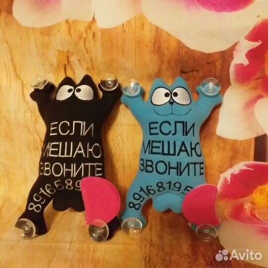 Кот пограничник