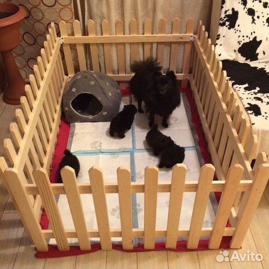 Вольер для мелких собак и щенков