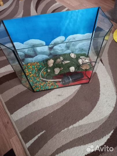 Аквариум