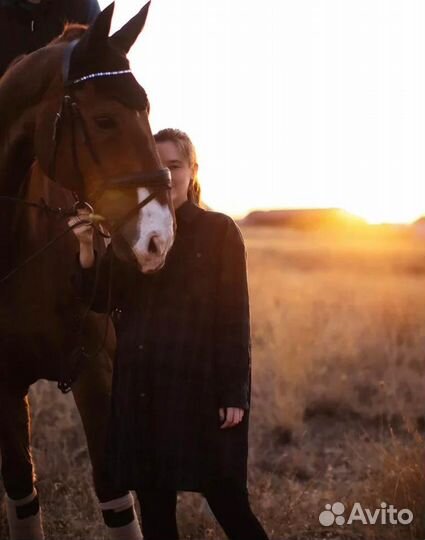 Конные прогулки