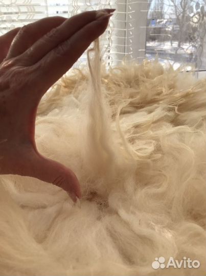 Козлиная шкура