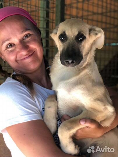 Он еще малыш, ему тяжело ищет маму