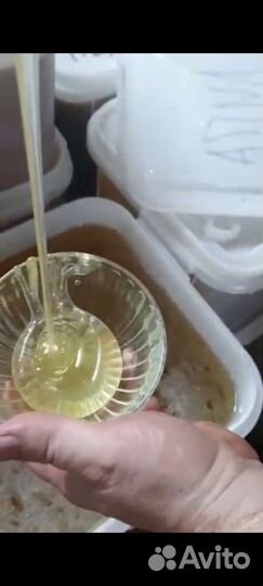 Липовый мёд 2022 из Башкирии