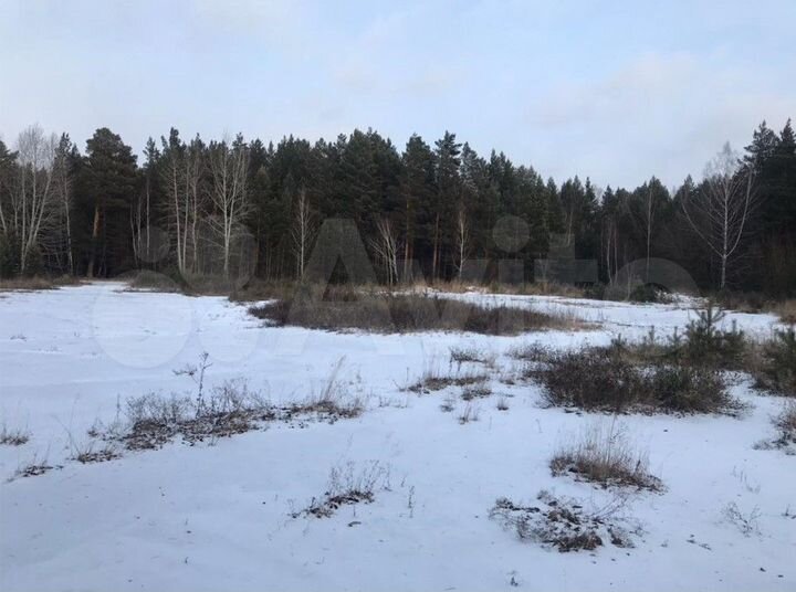 Участок 1,55 га (промназначения)